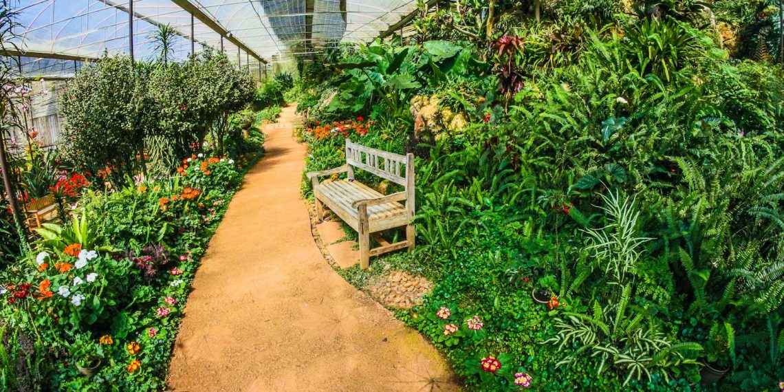 Greenhouse Garden